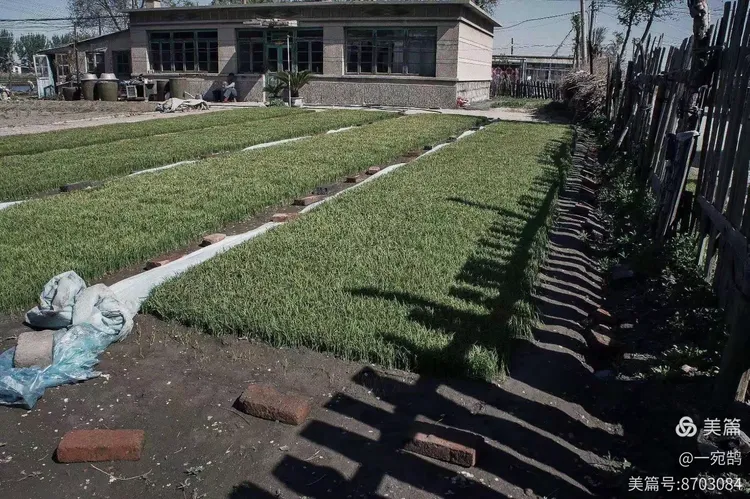 庄稼院【十五】前沟村(2)